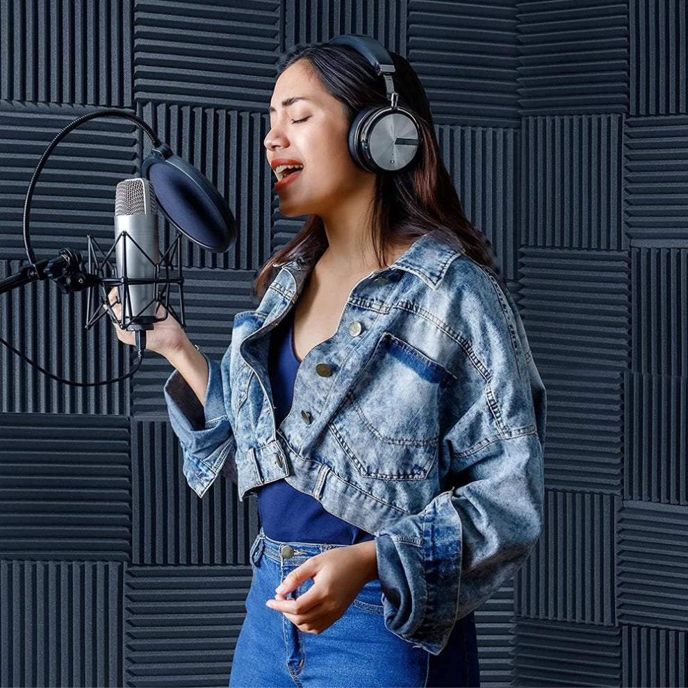 10 Pack Soundproof Acoustic Foam Panels for Recording Studios (30x30cm)