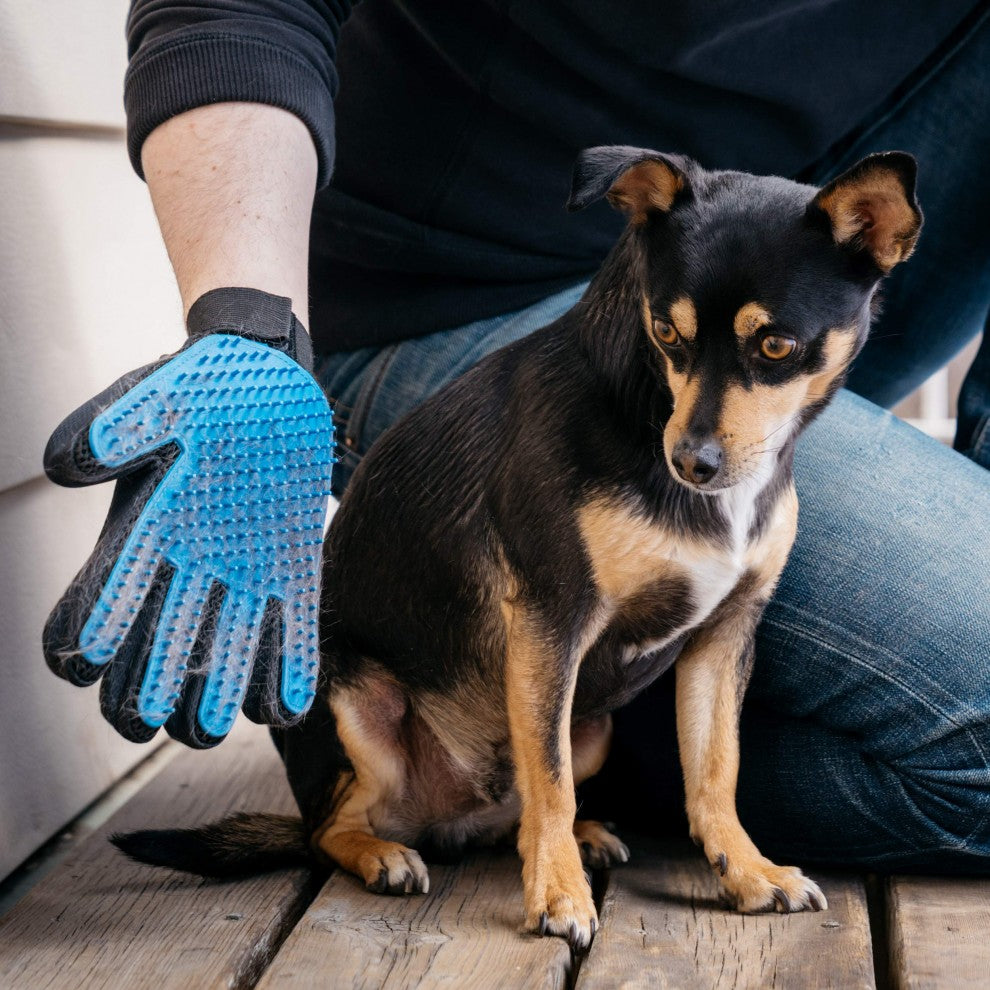 Cat Finger Glove, for Easy Pet Grooming