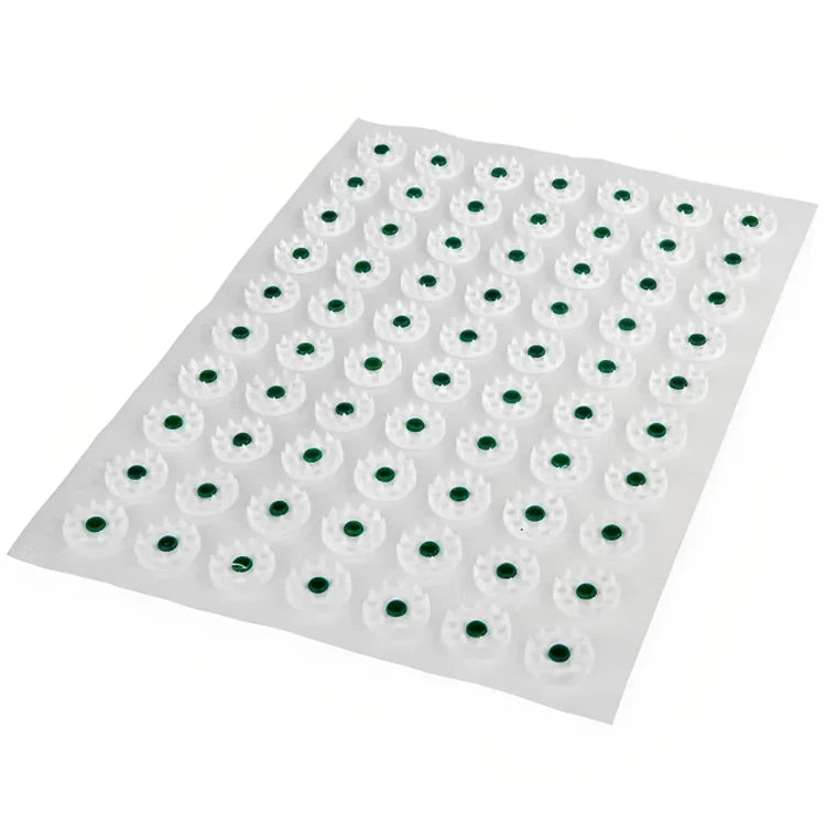 Acupressure Mat with Cushion