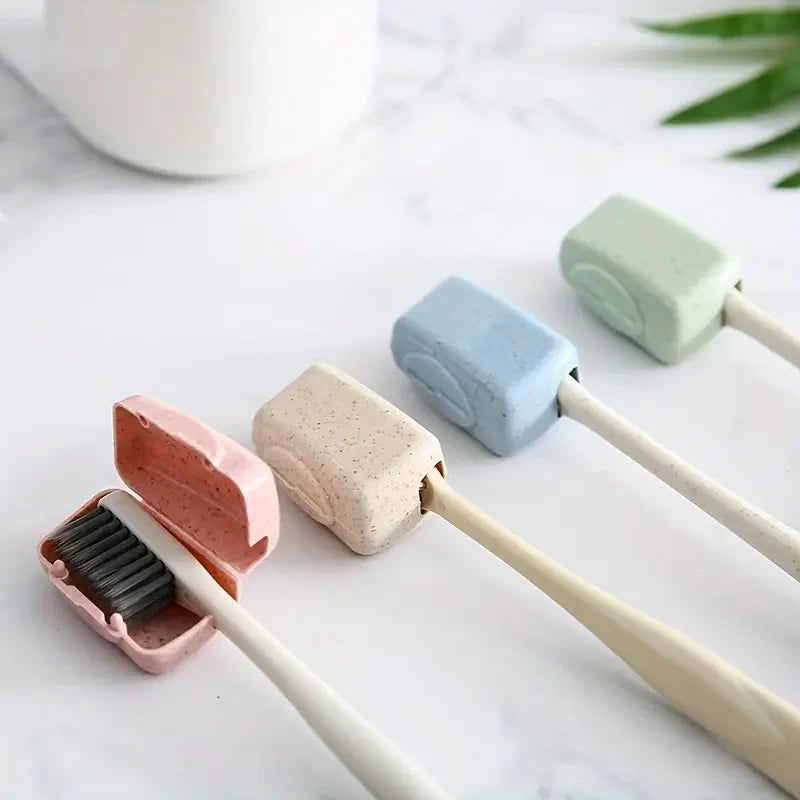 Travel Toothbrush Holder