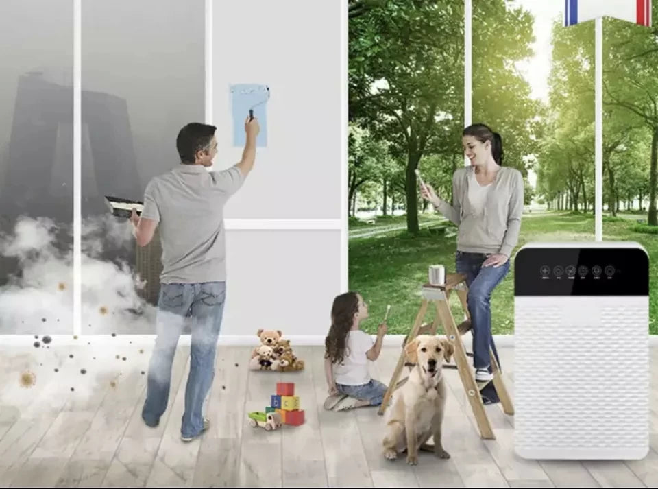 Air Purifier with Ion Technology