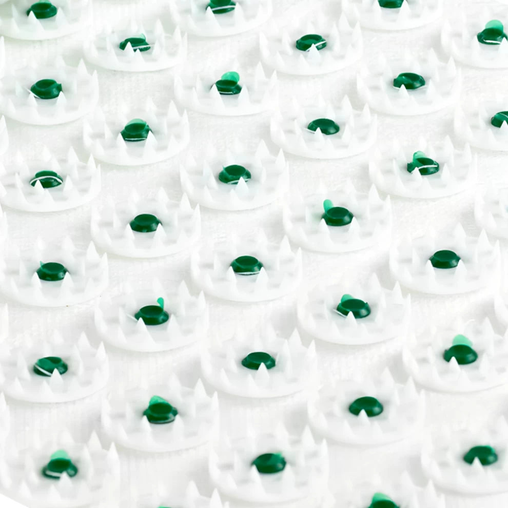 Acupressure Mat with Cushion