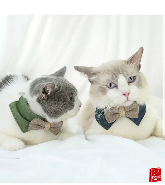 Cat Collar With Bow-knot