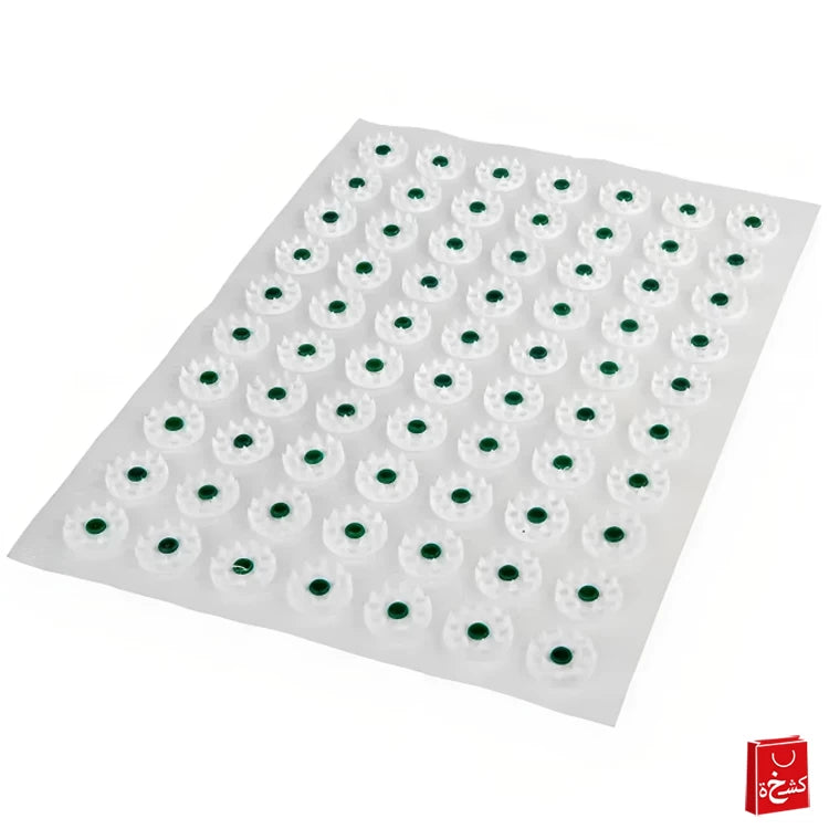 Acupressure Mat with Cushion